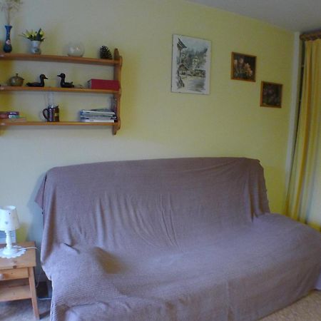 Studio Cosy Au Centre De Samoens Avec Parking Privatif - Fr-1-629-118 Esterno foto